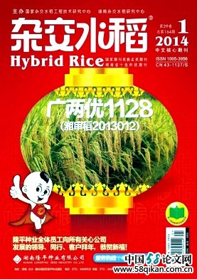 《雜交水稻》