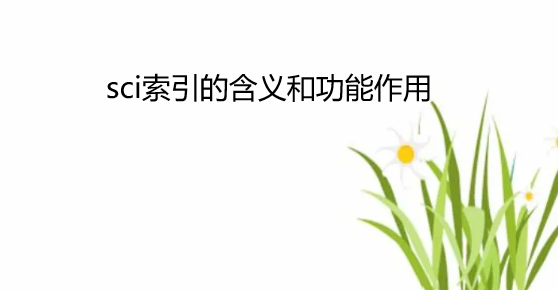 sci索引的含義和功能作用
