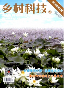 鄉村科技