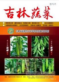 吉林蔬菜