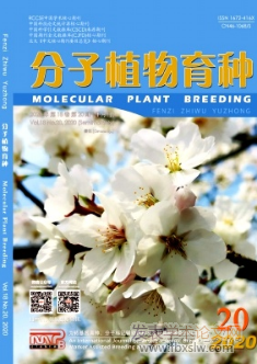 分子植物育種
